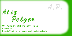 aliz pelger business card